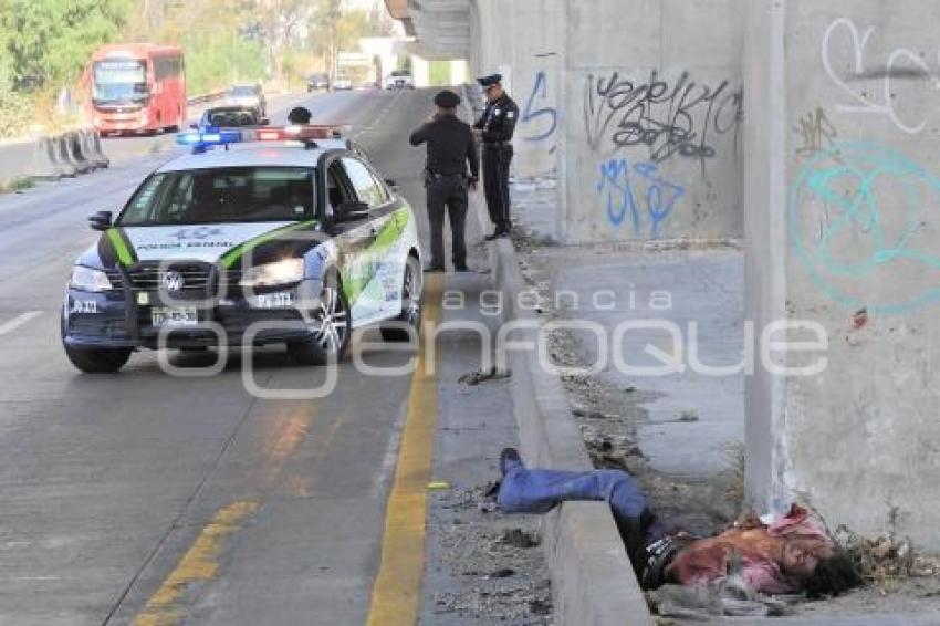NOTA ROJA . ATROPELLADO AUTOPISTA