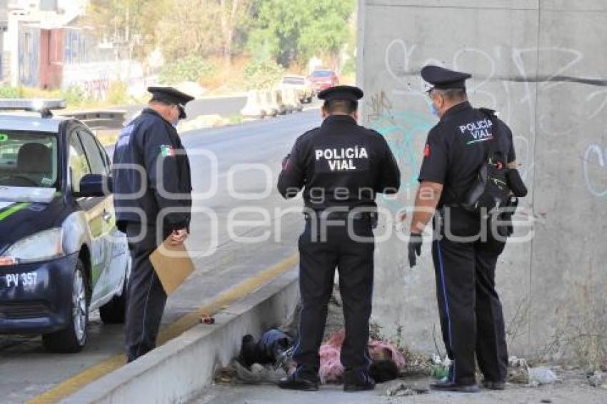 NOTA ROJA . ATROPELLADO AUTOPISTA