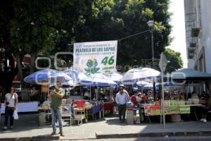 TIANGUIS DOMINICAL LOS SAPOS