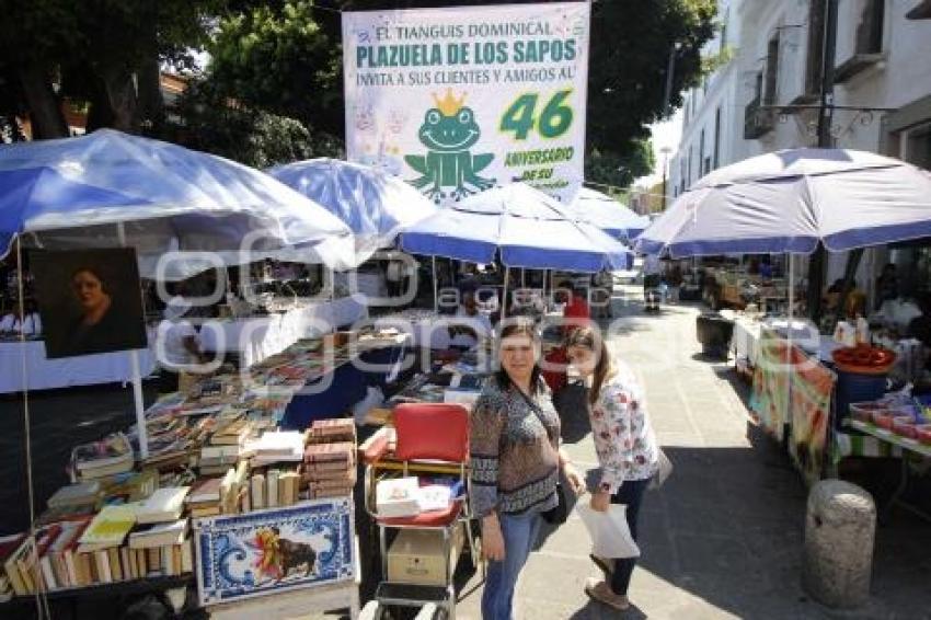 TIANGUIS DOMINICAL LOS SAPOS