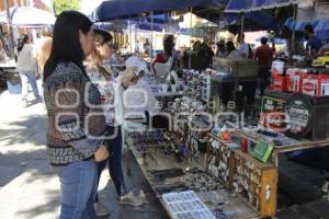 TIANGUIS DOMINICAL LOS SAPOS