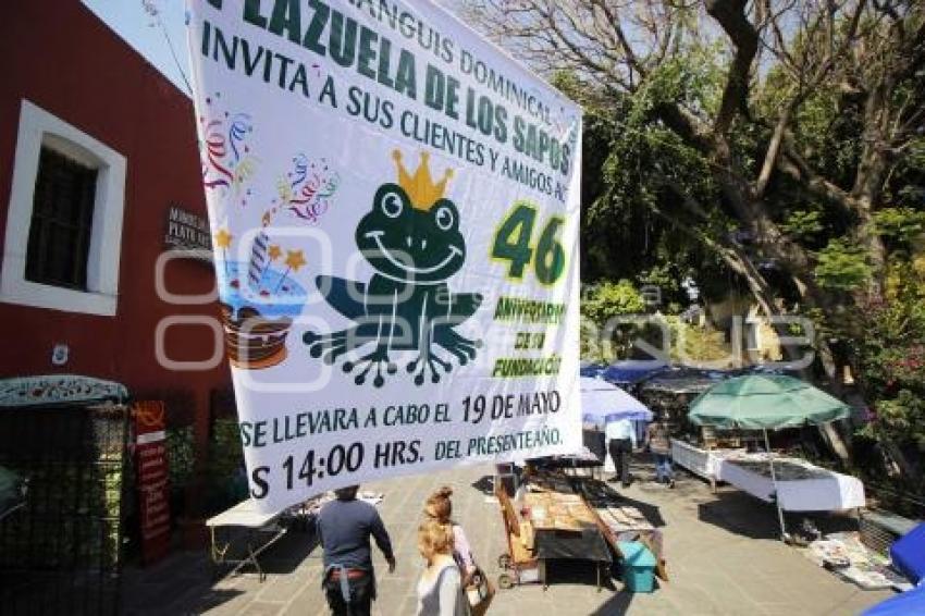 TIANGUIS DOMINICAL LOS SAPOS