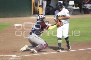 BEISBOL . PERICOS VS ALGODONEROS