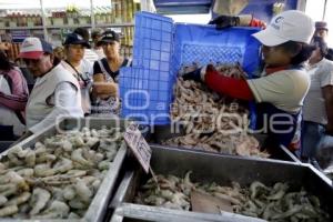 VENTA PESCADOS Y MARISCOS