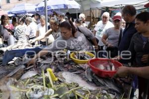 VENTA PESCADOS Y MARISCOS