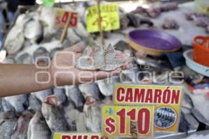 VENTA PESCADOS Y MARISCOS