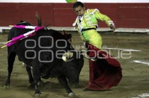 TOROS . JORGE SOTELO