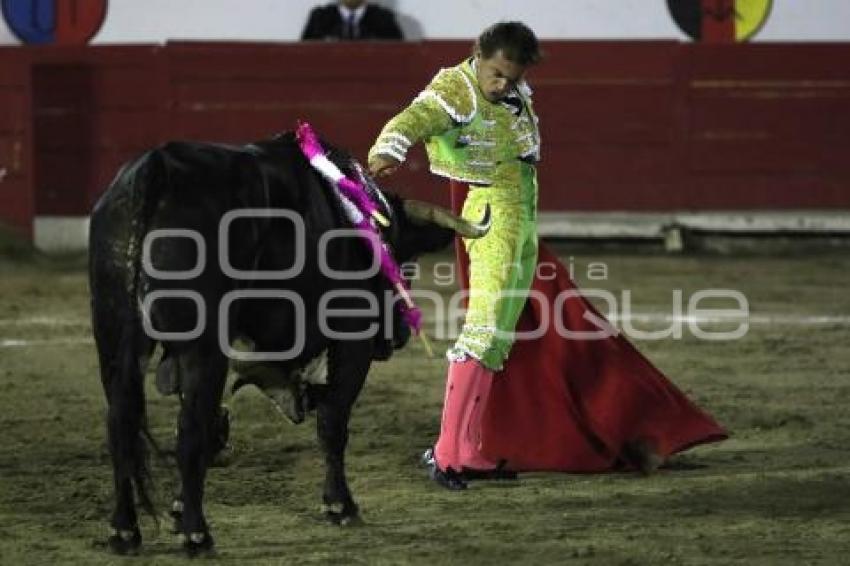 TOROS . JORGE SOTELO