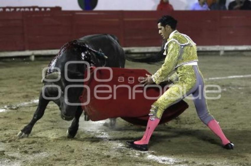 TOROS . IGNACIO GARIBAY