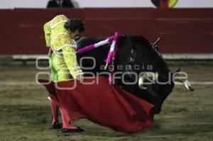 TOROS . JORGE SOTELO