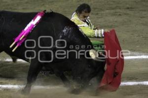 TOROS . JORGE SOTELO