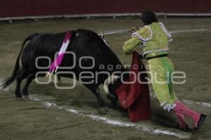 TOROS . JORGE SOTELO