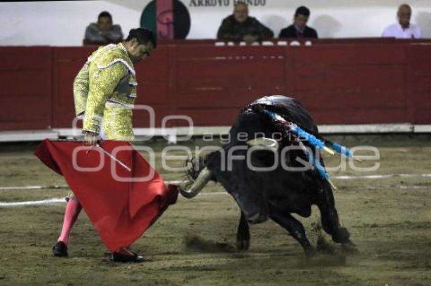 TOROS . IGNACIO GARIBAY