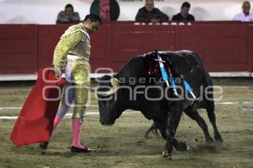 TOROS . IGNACIO GARIBAY