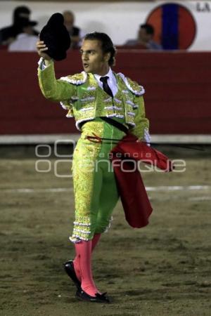 TOROS . JORGE SOTELO