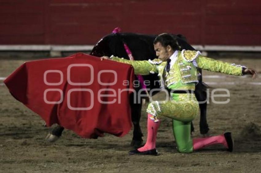 TOROS . JORGE SOTELO