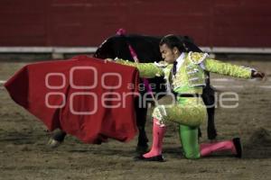 TOROS . JORGE SOTELO