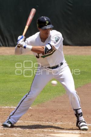 BÉISBOL . PERICOS VS SARAPEROS