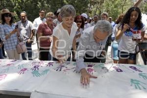 CAMPAÑA . GOBERNADOR . CÁRDENAS