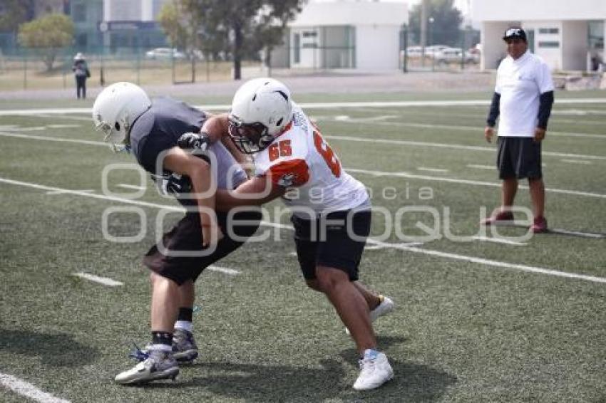 TRYOUTS . LOBOS BUAP