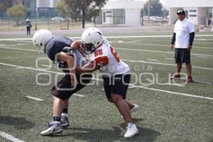 TRYOUTS . LOBOS BUAP