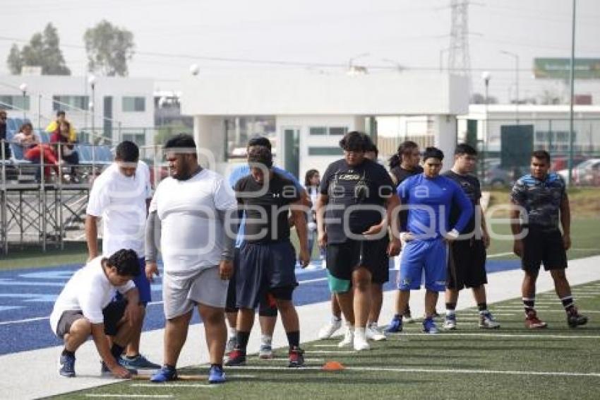 TRYOUTS . LOBOS BUAP