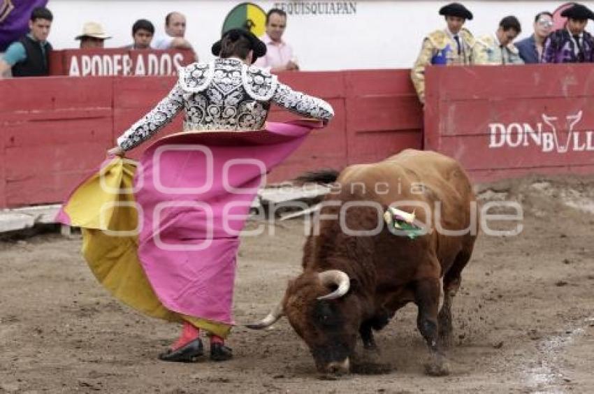 TOROS GUSTAVO GARCIA SOLO