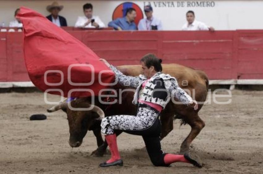 TOROS GUSTAVO GARCIA SOLO