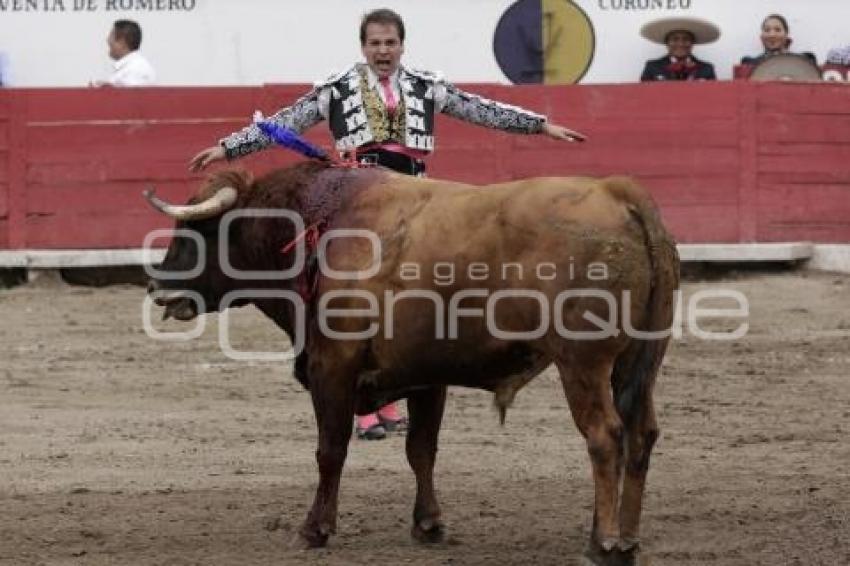 TOROS GUSTAVO GARCIA SOLO