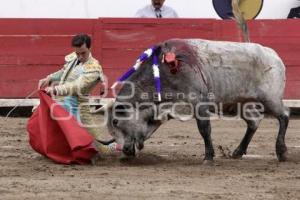 TOROS . JOSÉ MAURICIO