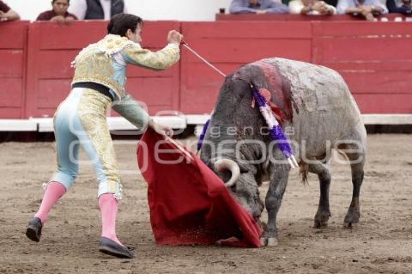 TOROS . JOSÉ MAURICIO