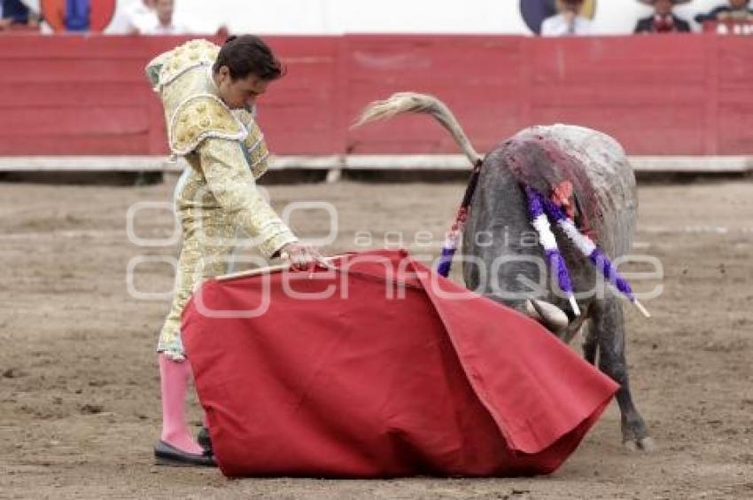 TOROS . JOSÉ MAURICIO