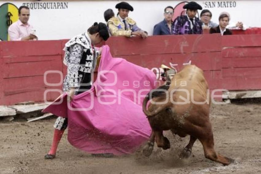 TOROS GUSTAVO GARCIA SOLO