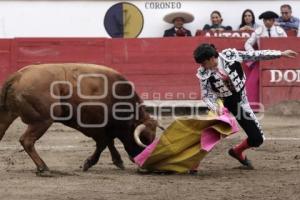 TOROS GUSTAVO GARCIA SOLO