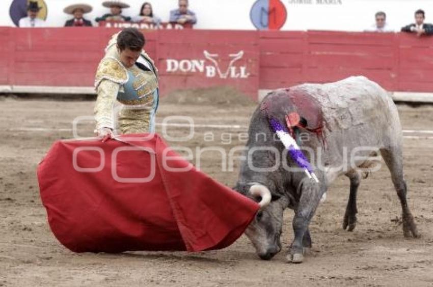 TOROS . JOSÉ MAURICIO