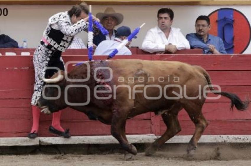 TOROS GUSTAVO GARCIA SOLO