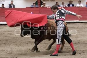 TOROS GUSTAVO GARCIA SOLO