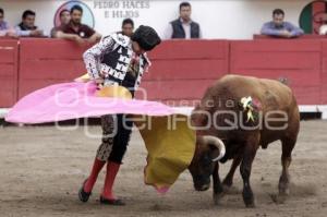 TOROS GUSTAVO GARCIA SOLO