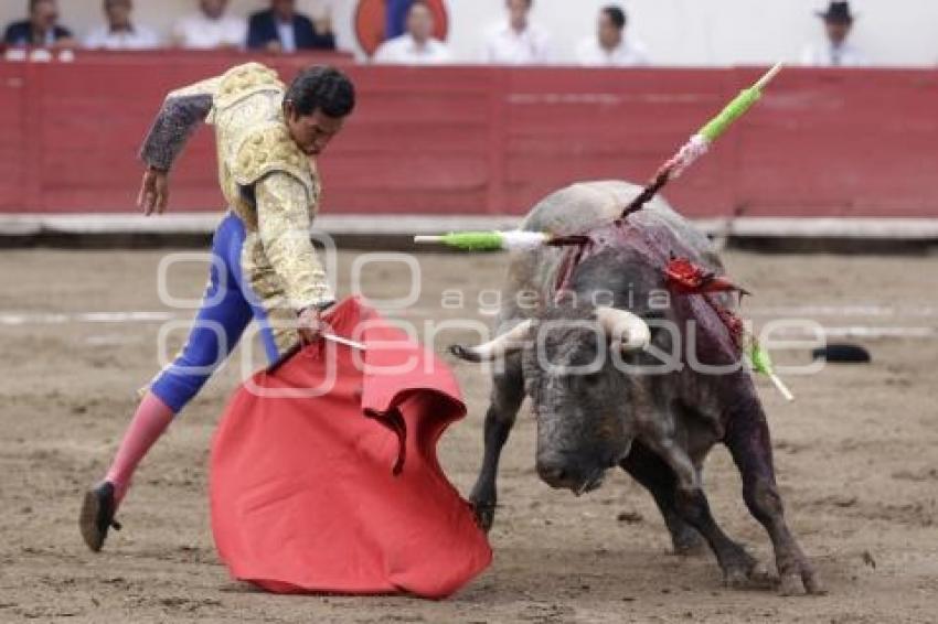 TOROS . ISRAEL TELLEZ CRUZ