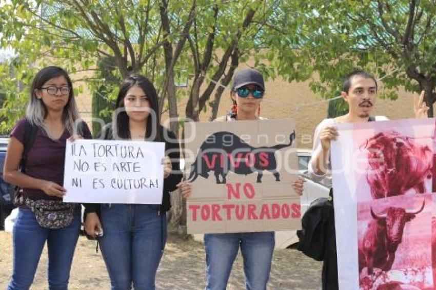 MANIFESTACIÓN CONTRA TAUROMAQUIA