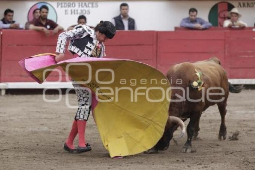 TOROS GUSTAVO GARCIA SOLO