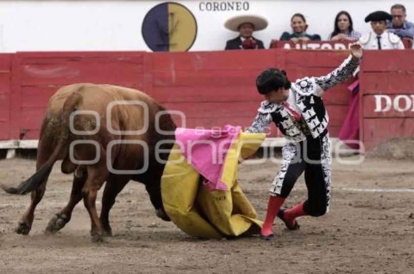 TOROS GUSTAVO GARCIA SOLO