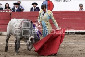 TOROS . JOSÉ MAURICIO