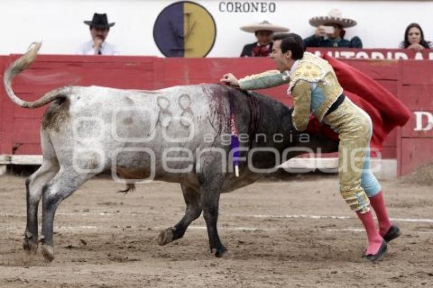 TOROS . JOSÉ MAURICIO