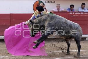 TOROS . ISRAEL TELLEZ CRUZ