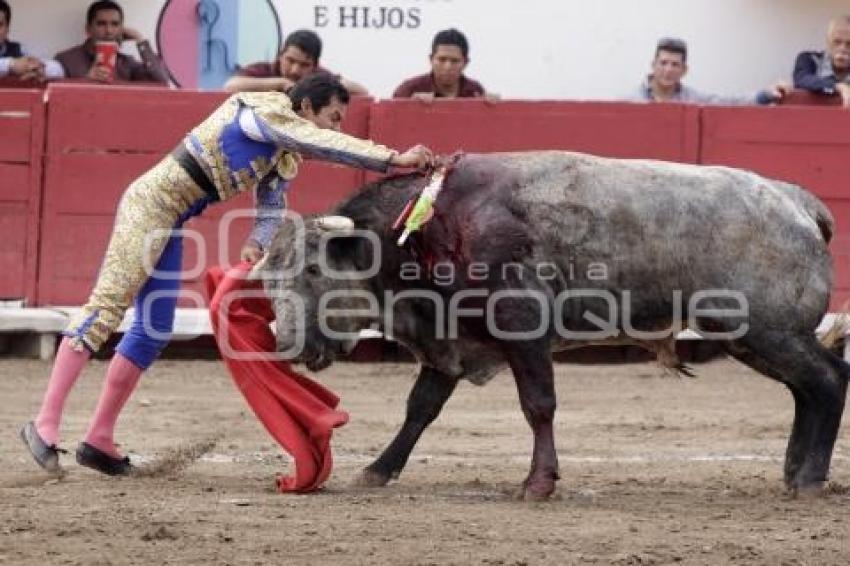 TOROS . ISRAEL TELLEZ CRUZ