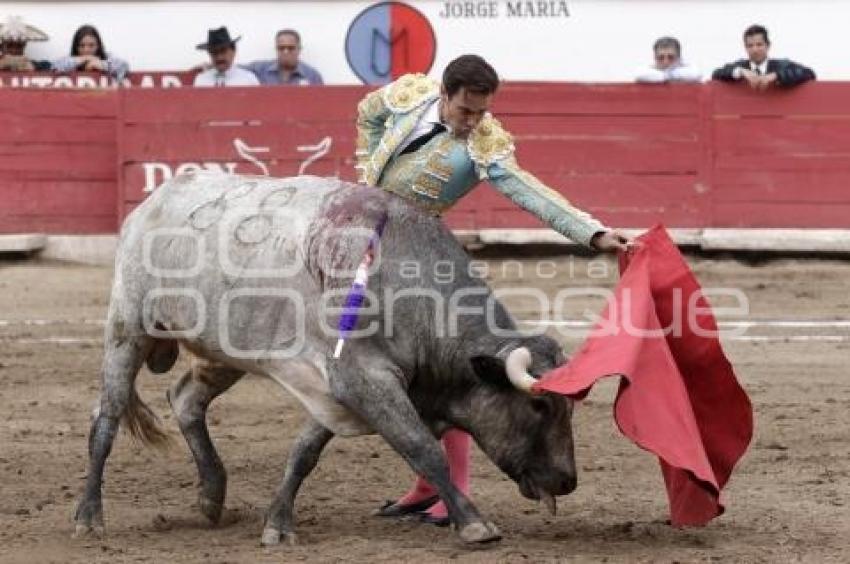 TOROS . JOSÉ MAURICIO