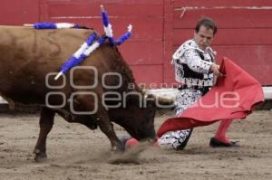 TOROS GUSTAVO GARCIA SOLO