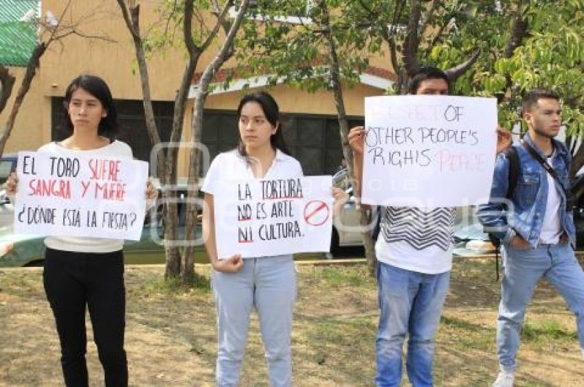 MANIFESTACIÓN CONTRA TAUROMAQUIA