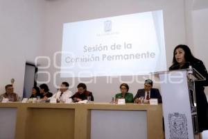 CONGRESO . COMISIÓN PERMANENTE